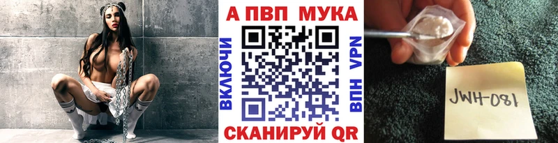 Alfa_PVP СК Терек