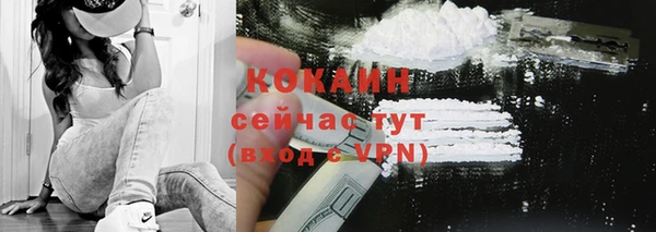 индика Михайловка