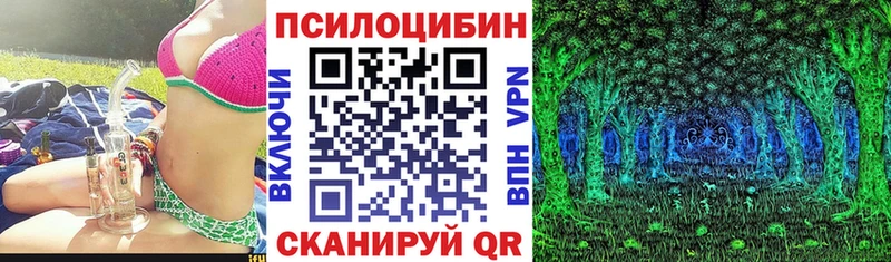 кракен ССЫЛКА  цена наркотик  Терек  Галлюциногенные грибы GOLDEN TEACHER 